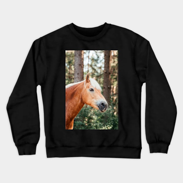 Haflinger mare in the forest Crewneck Sweatshirt by M-Hutterer